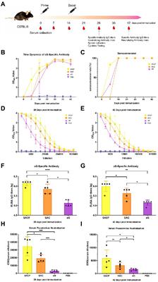 Assessment of the immunogenicity and protection of a Nipah virus soluble G vaccine candidate in mice and pigs